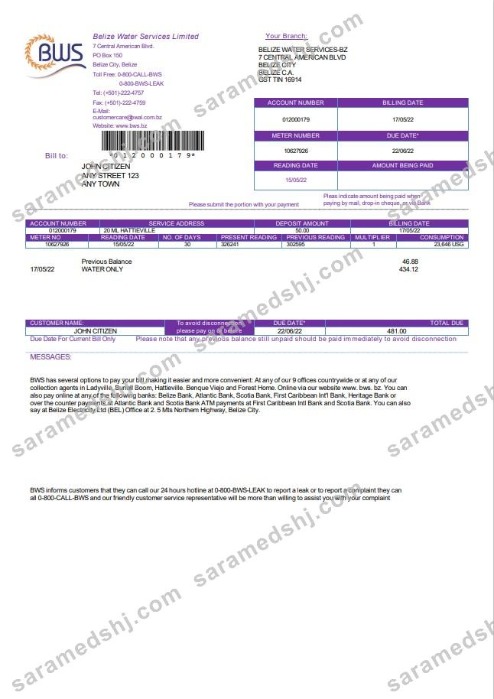 Belize Water Services Limited utility bill template in Word and PDF format